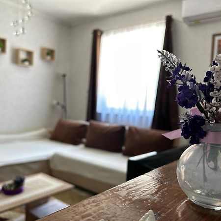 Villa Levendula Vendeghaz Balatonföldvár Exterior foto